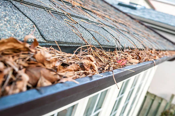 4. Clogged Gutters