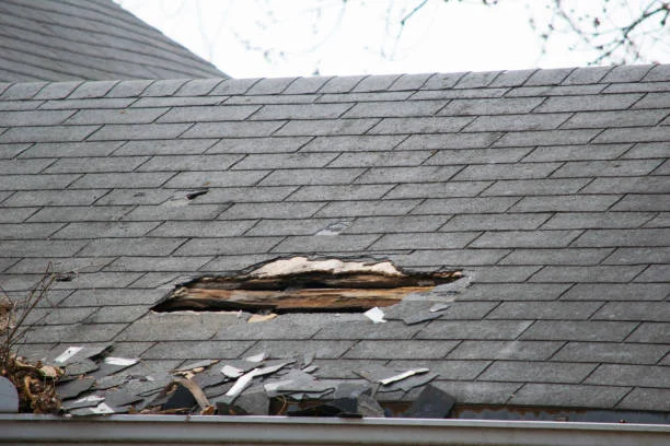 Damaged Shingles