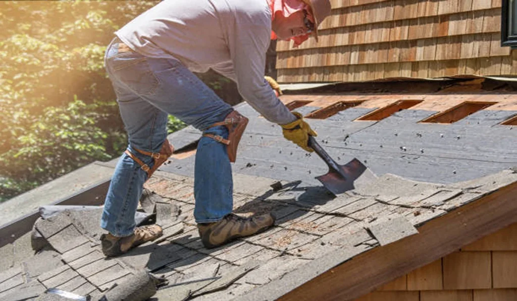 Pros and Cons of Luxury Asphalt Shingles